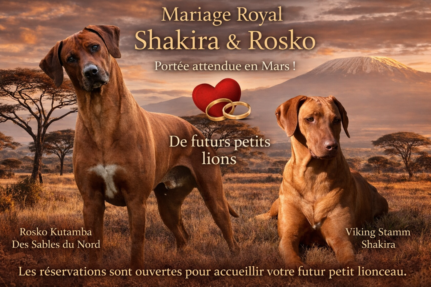 Futur portée en MARS 2026